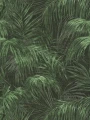 39981-4.webp