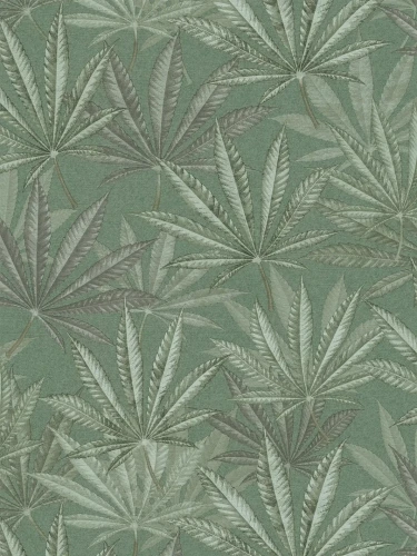 39984-1.webp