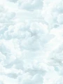 39985-3.webp