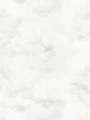 39985-5.webp