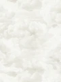 39985-2.webp
