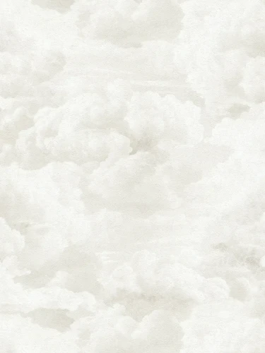 39985-2.webp