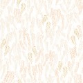 CASADECO_200794343.1_z.JPG