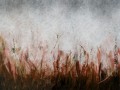 tosca rust_s.jpg