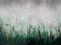 tosca green_s.jpg