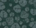 foglia sage.webp