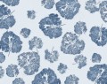 foglia navy_s.jpg