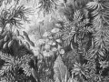 fairytale b&w_s.jpg
