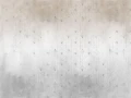 raw ombre.webp