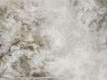 sanctuary beige_s.jpg