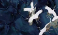 royal tsuru.webp