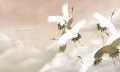 taupe tsuru.webp