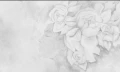 persephone light.webp