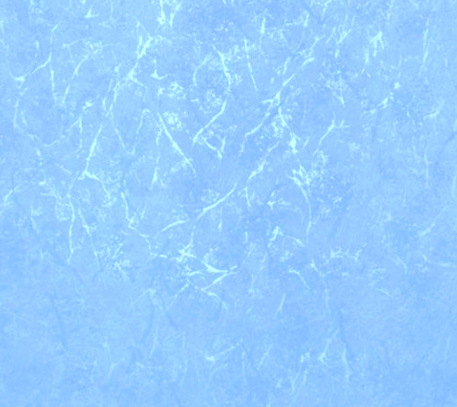 WP 5437-21.jpg
