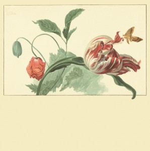 mural 1282.59-1