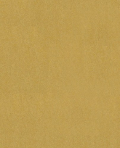 358080.jpeg