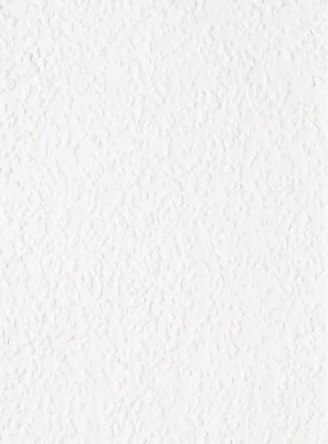 vanessa.JPG