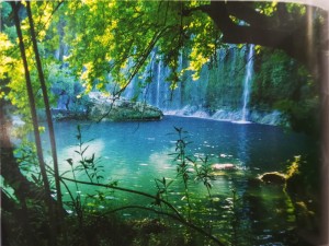 fototapeta 0567.60