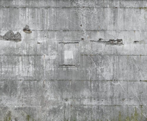 445510.jpg