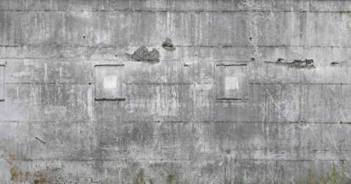 445503.jpg