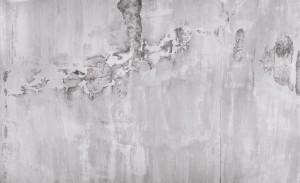 mural 1226.7b-1
