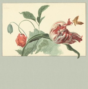 mural 1282.59-2